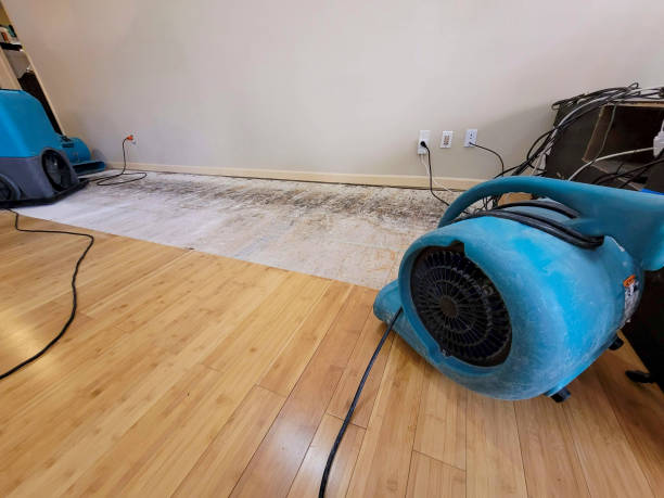 Professional Sewage Cleanup technician working in Asbury Park, NJ